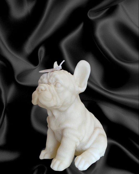 Bulldog francese (box)