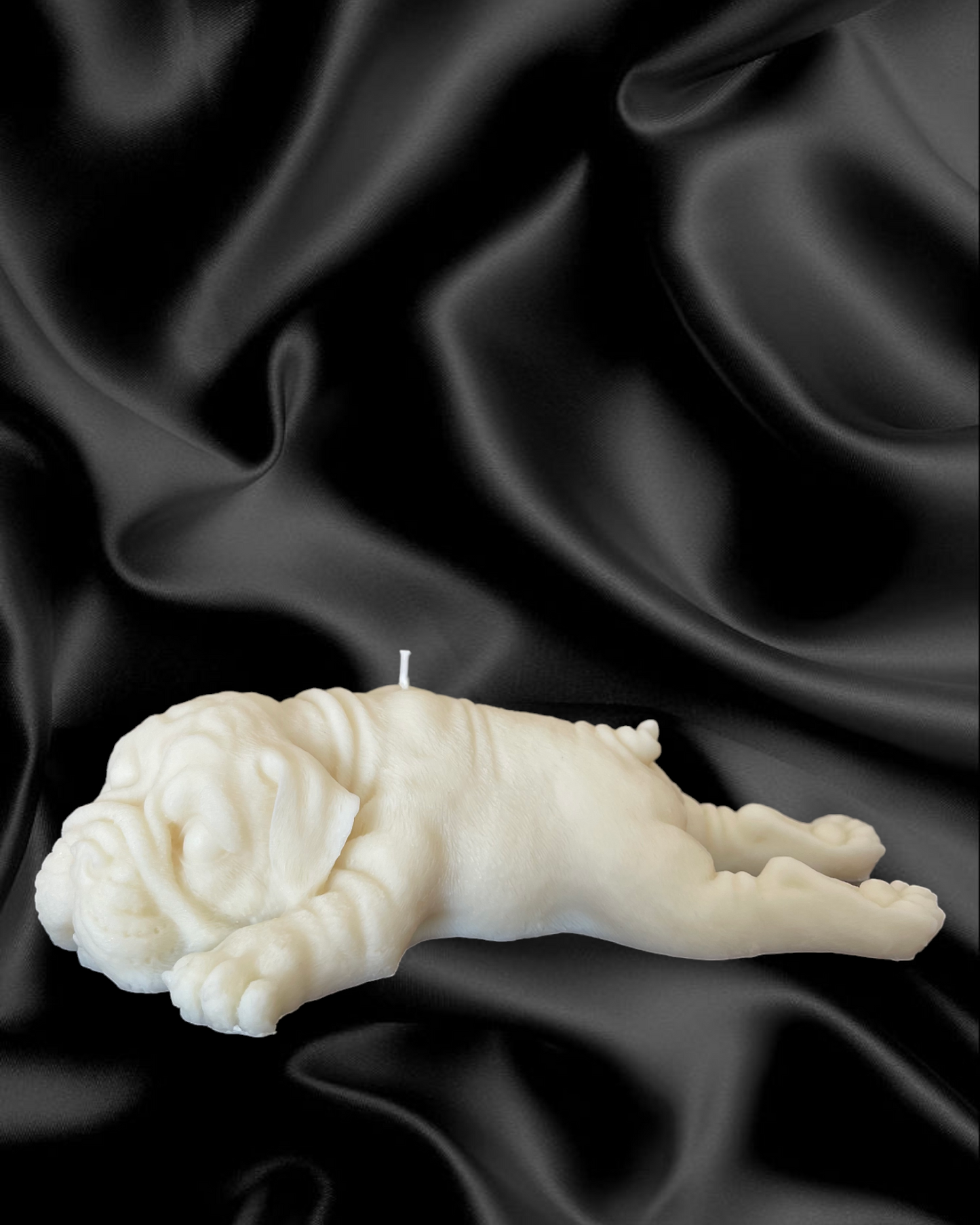 Sharpei sdraiato