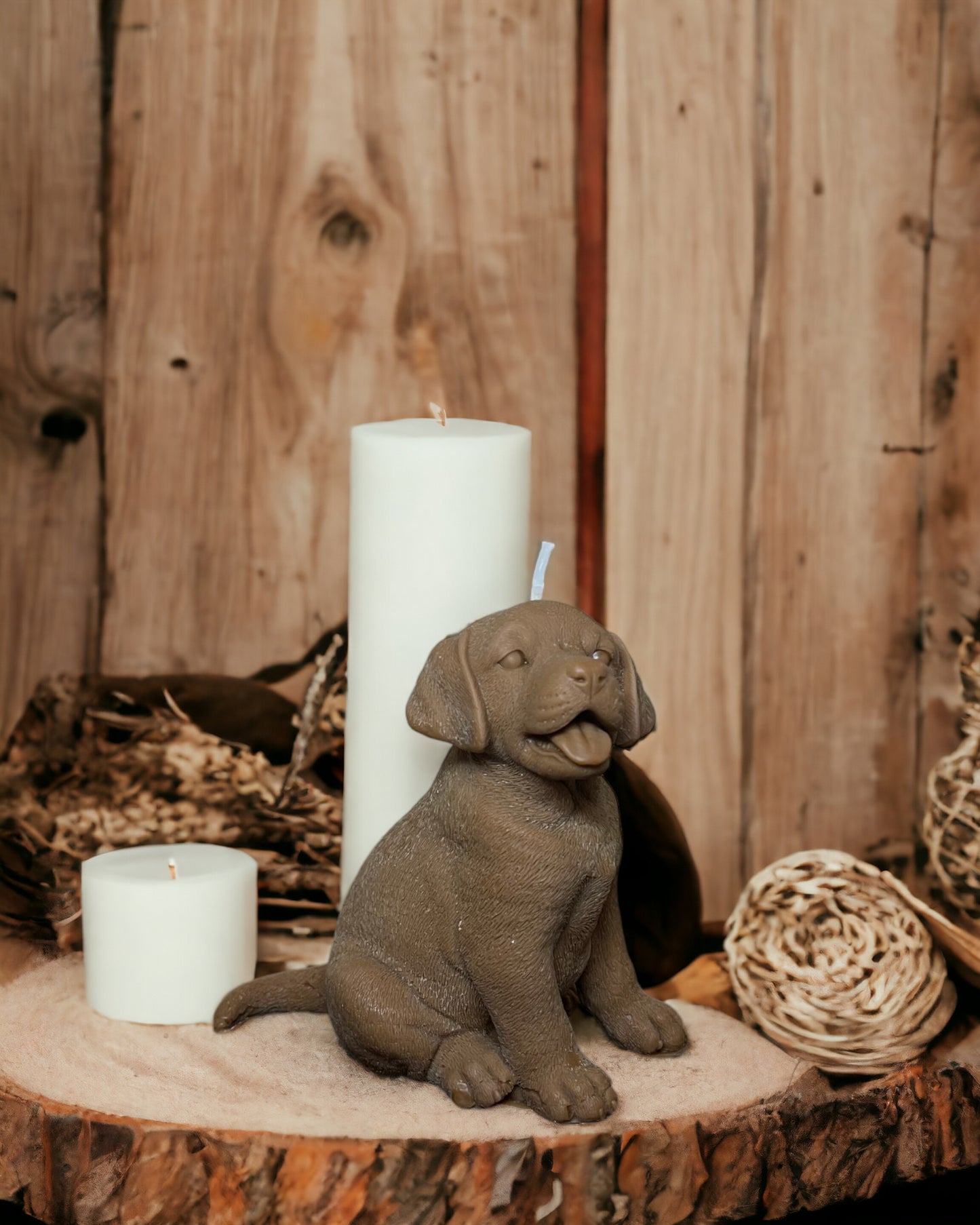 Labrador (box)