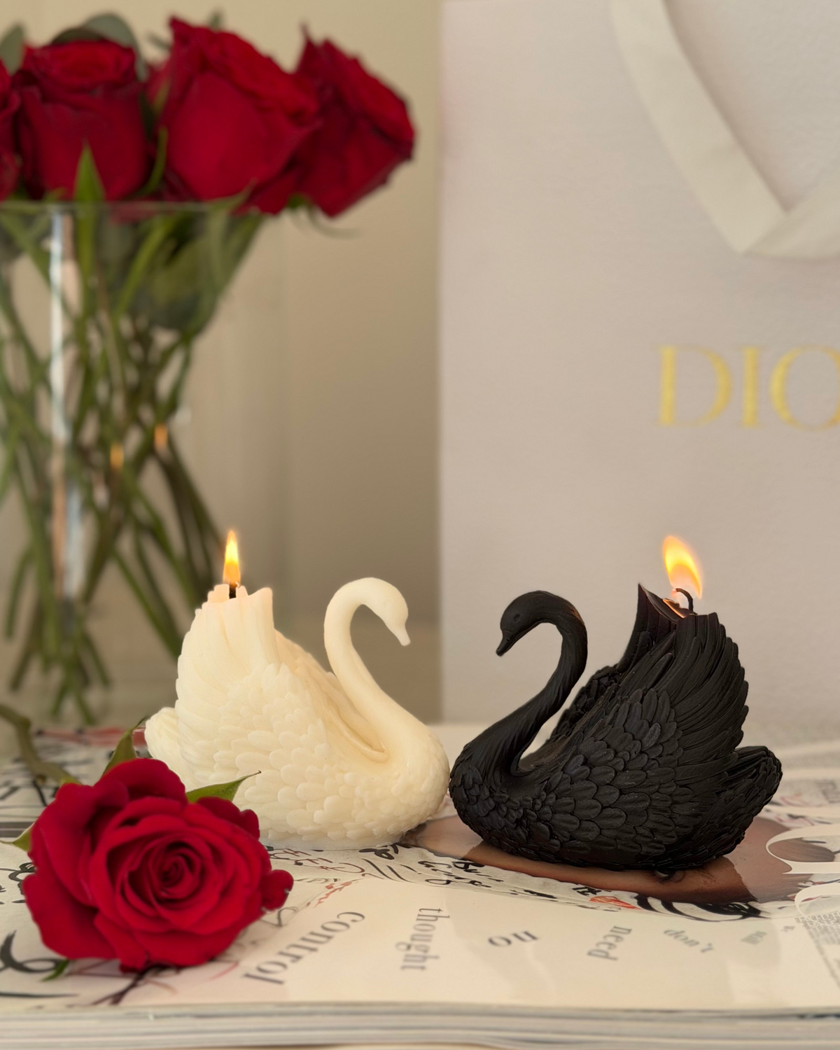 Cigno