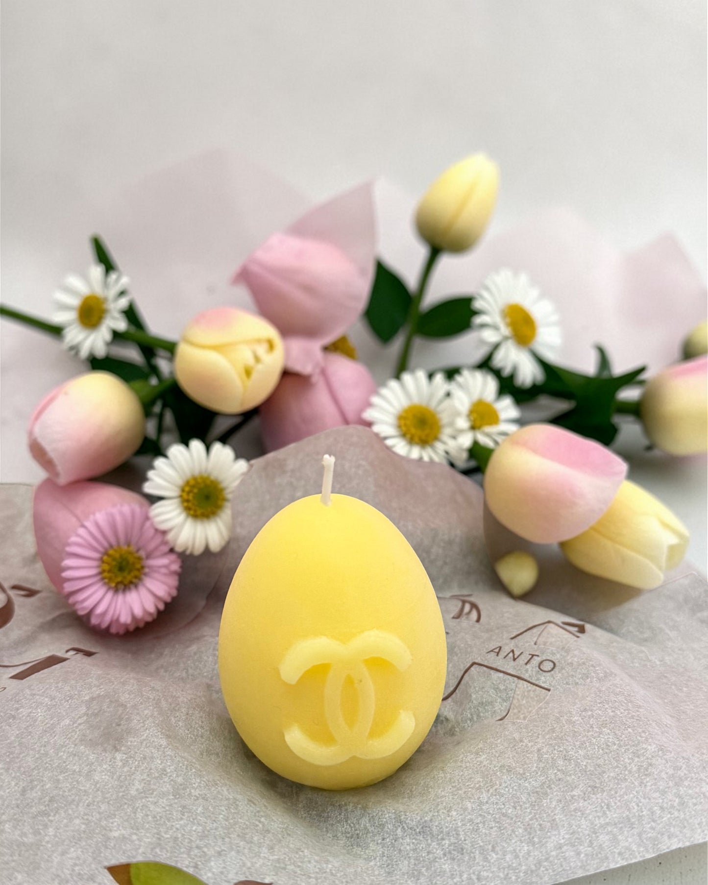 Uovo Edizione Limitata(box)