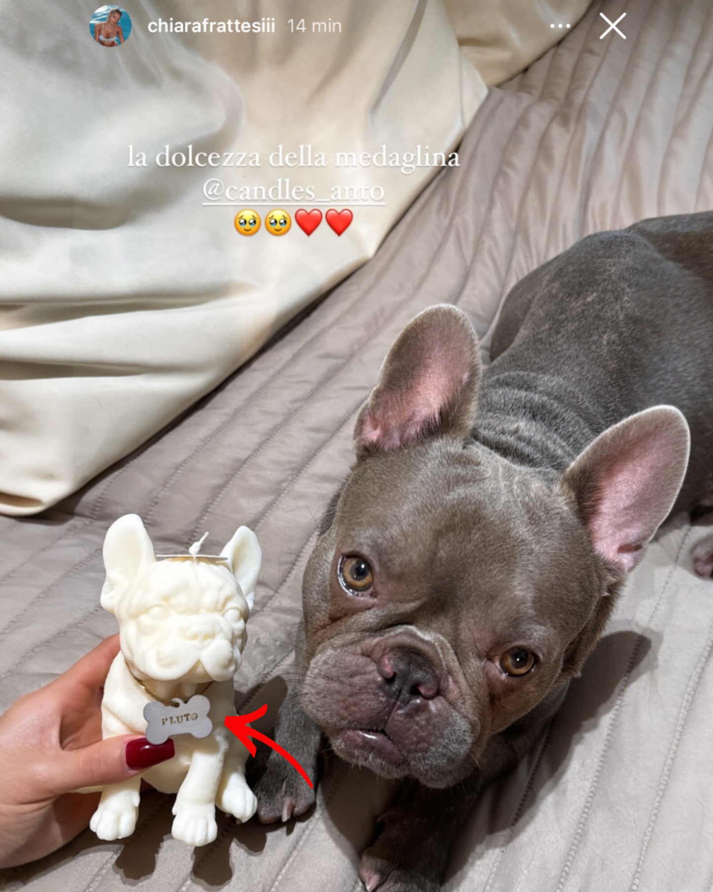 Targhetta in metallo