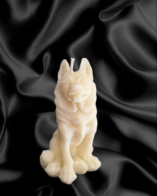 Pastore tedesco (box)