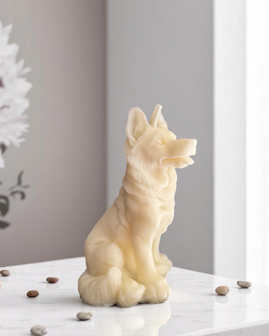 Pastore tedesco (box)