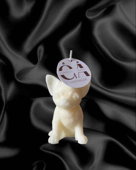 Mini Chihuahua (box)