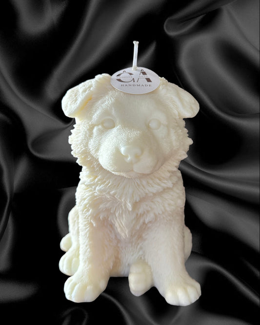 Pastore tedesco baby