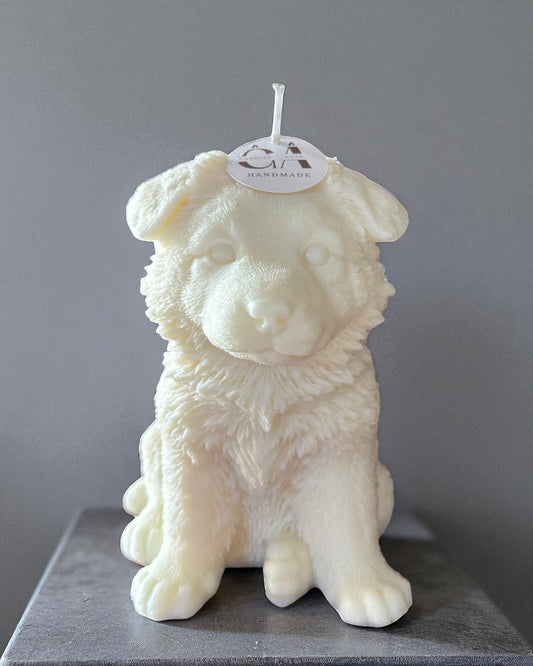 Pastore tedesco baby