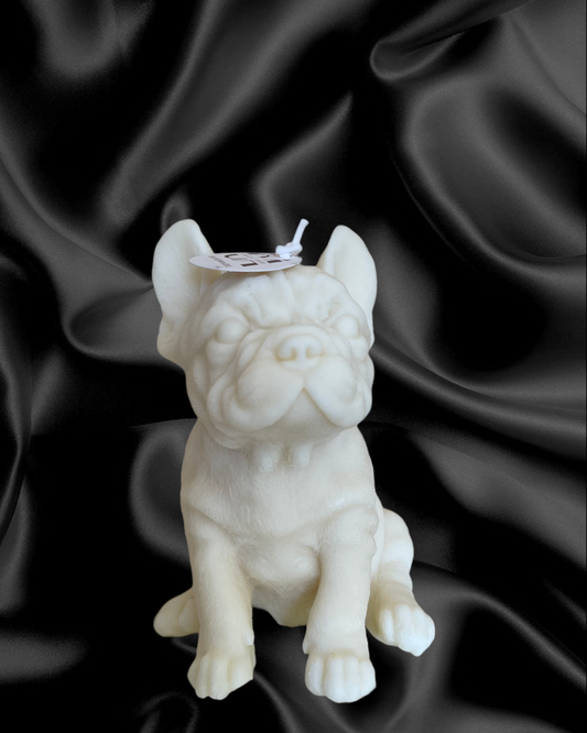 Bulldog francese (box)