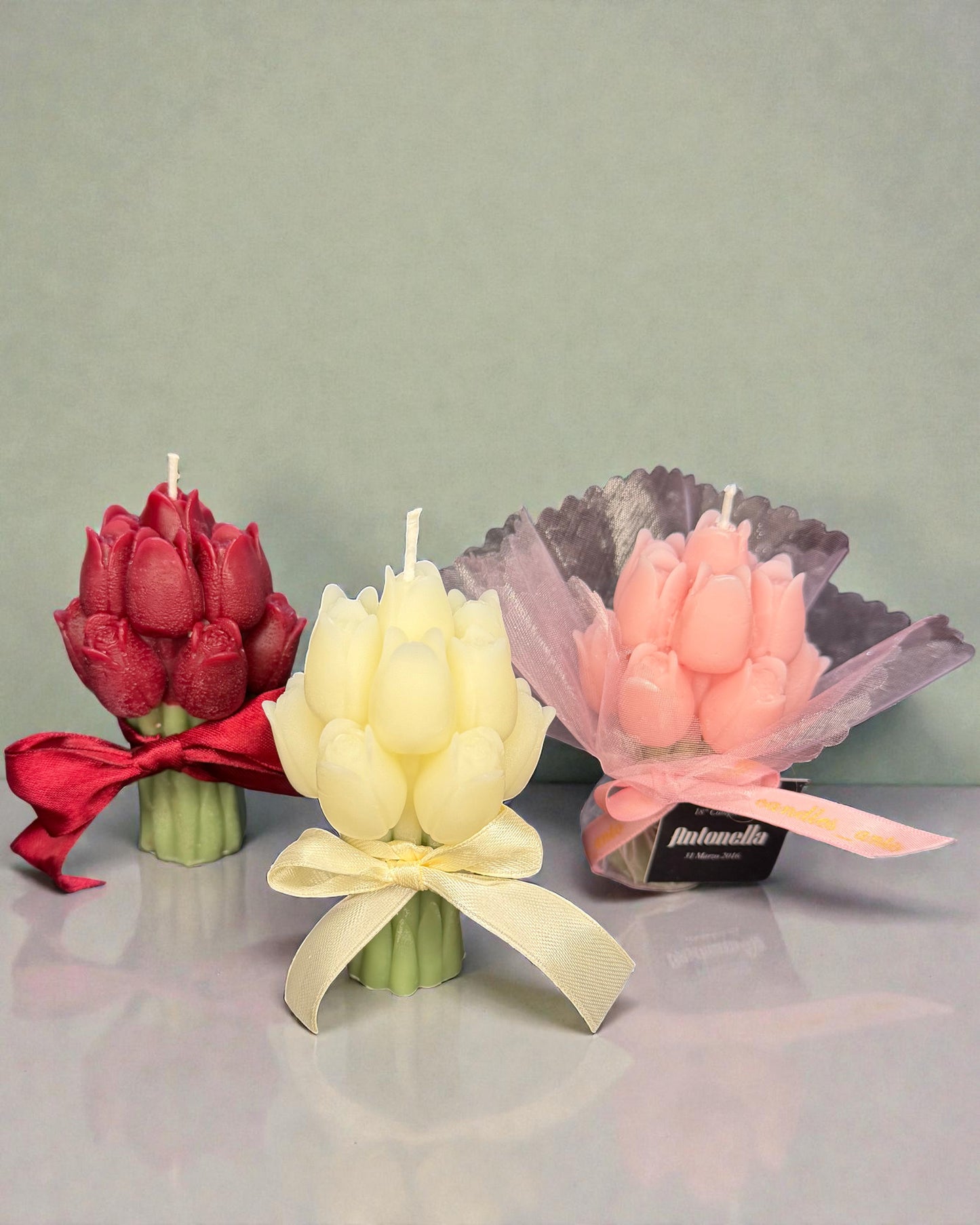 Tulipani(box)