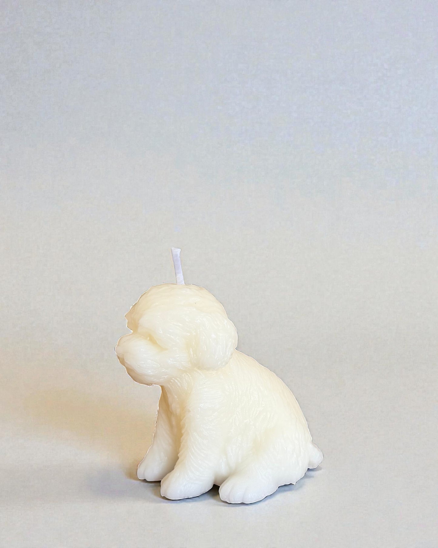 Maltese