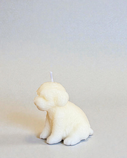 Maltese