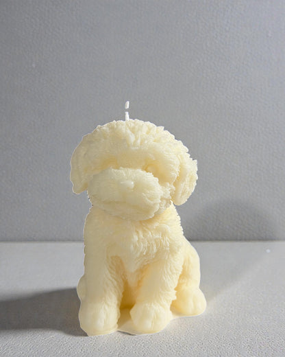 Maltese