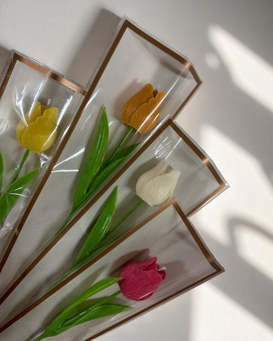 Singolo Tulipano