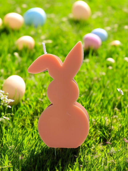 Coniglietto Incantato (box)