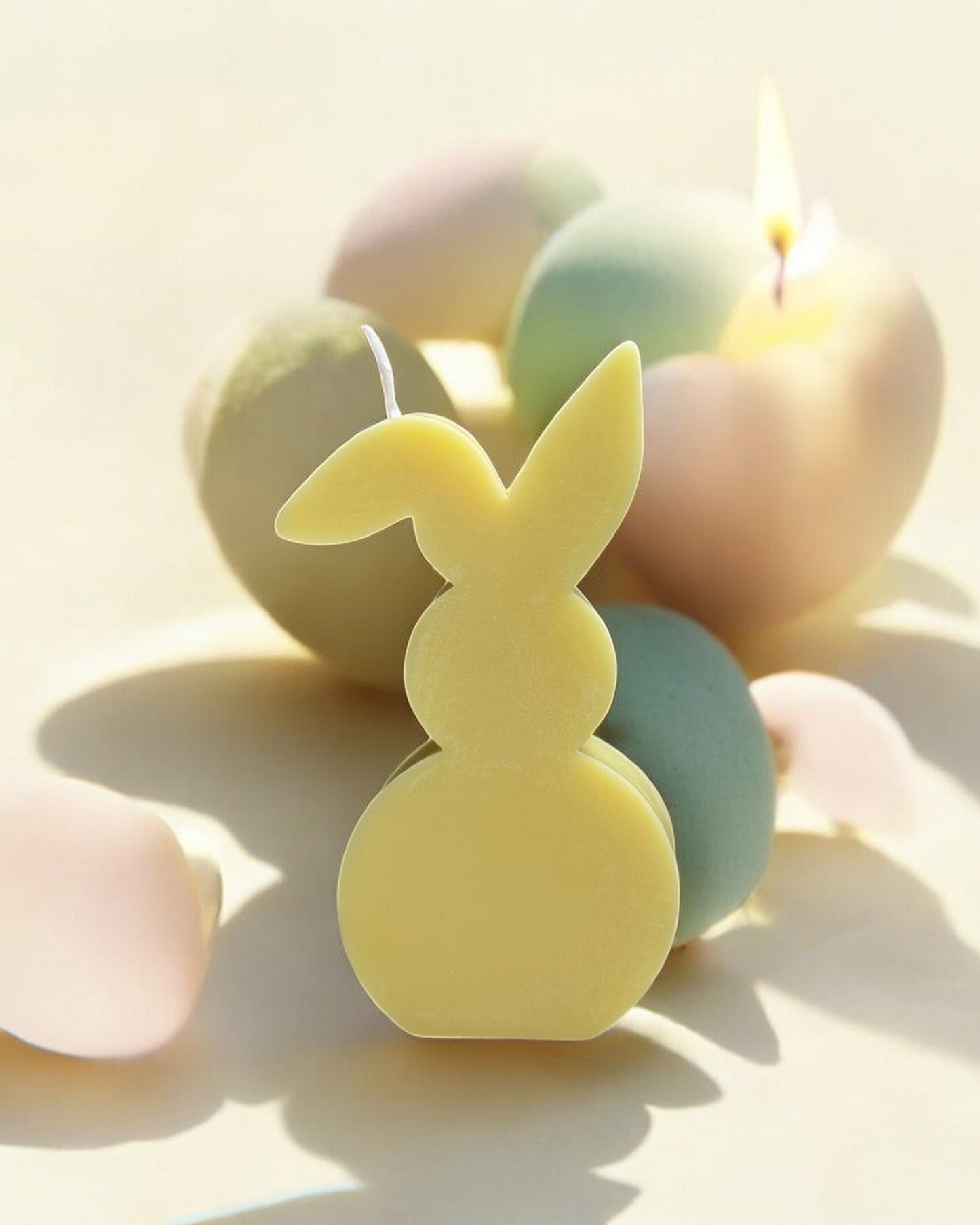 Coniglietto Incantato (box)