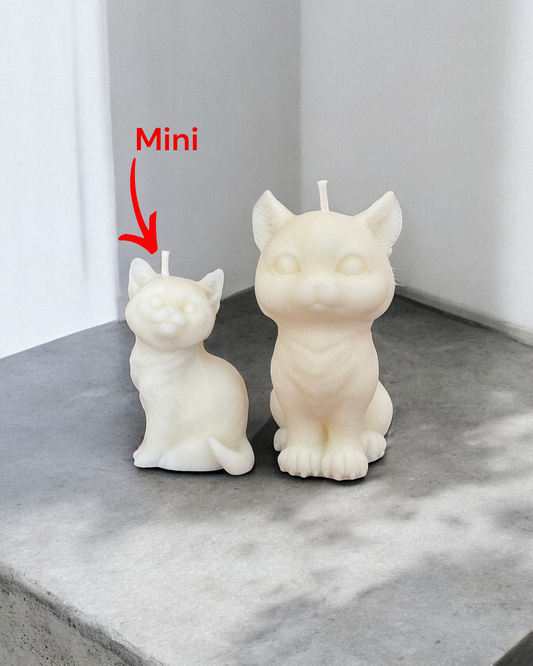 Mini Gatto(box)