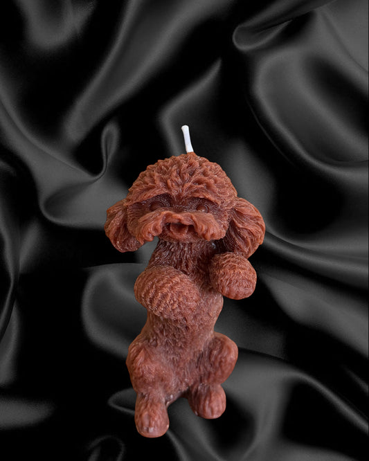 Barboncino Alzato(box)