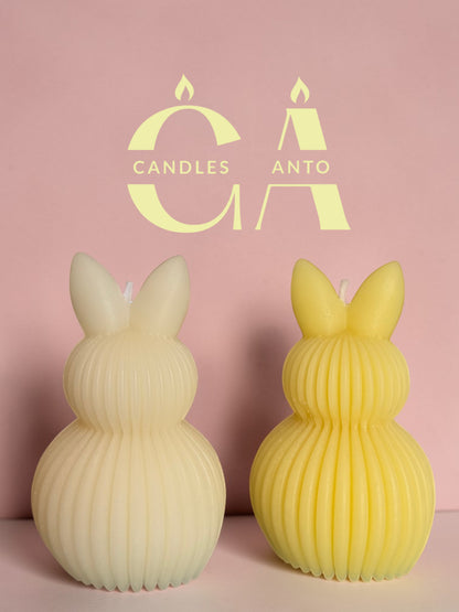 Bunny di Pasqua(box)
