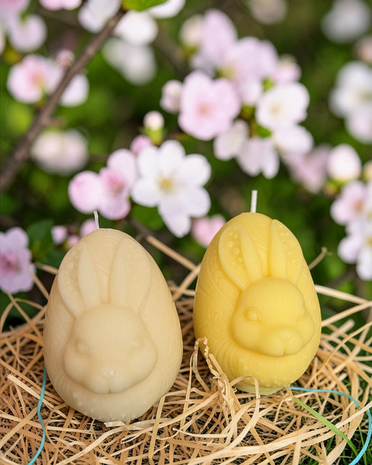 Primavera Bunny(box)