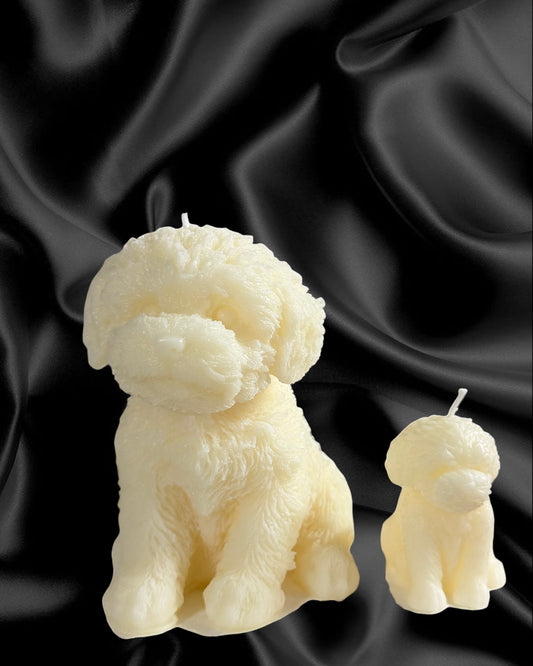 Maltese