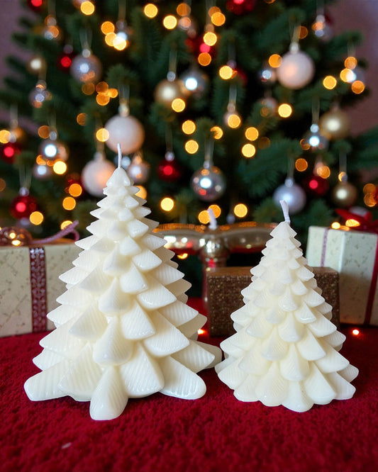 Albero incantato (box)