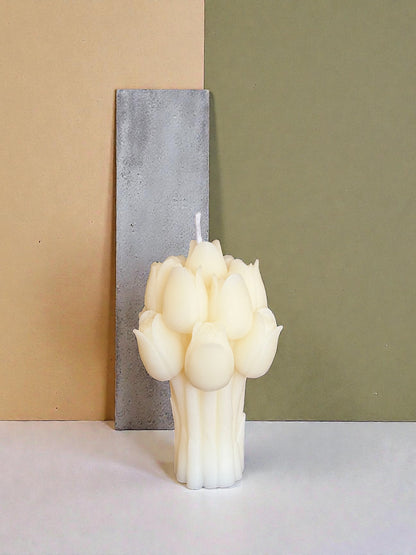 Tulipani(box)