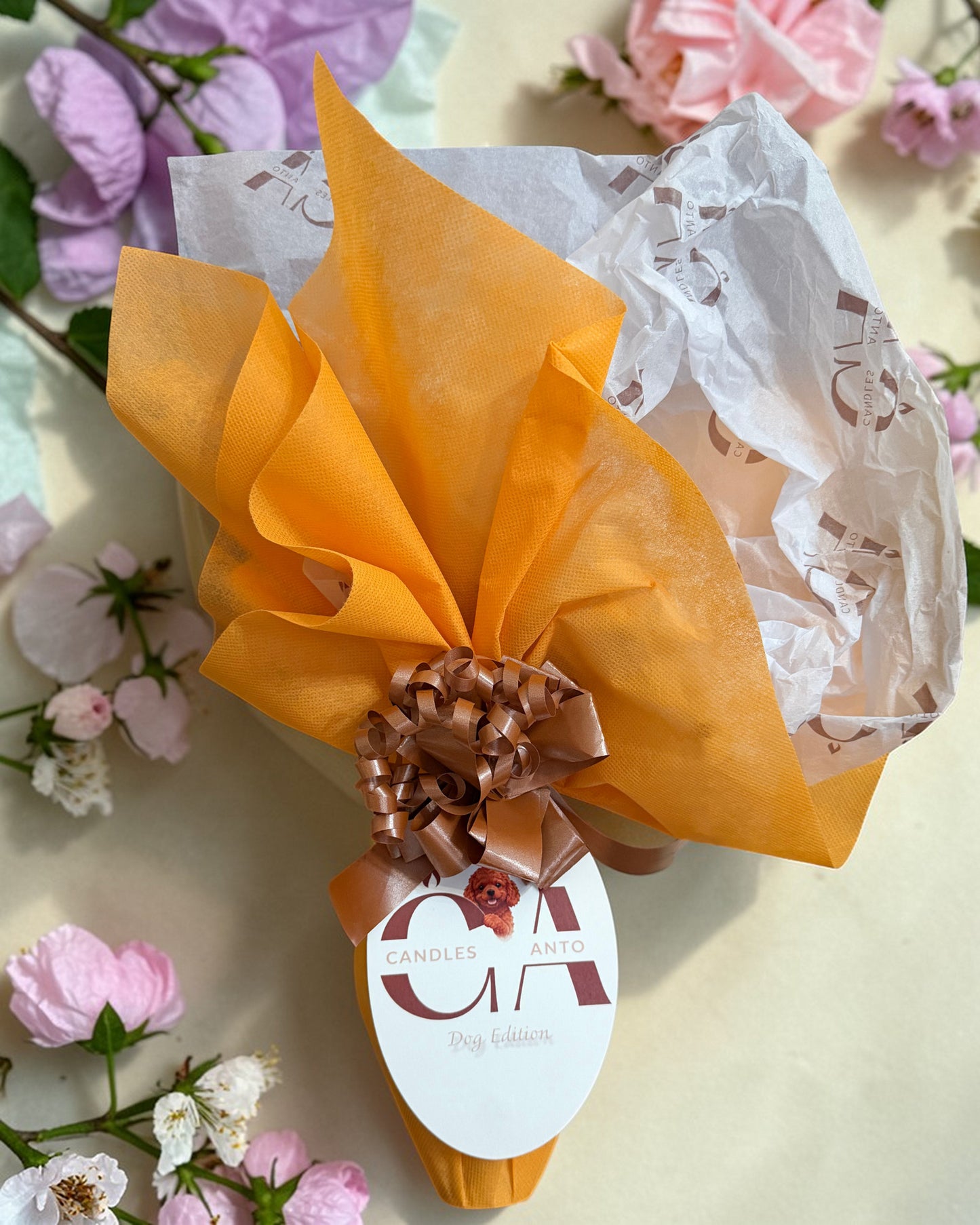 Uovo Artiginale BARBONCINO