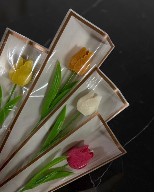 Singolo Tulipano